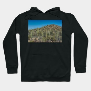 Saguaro National Park Tucson Hoodie